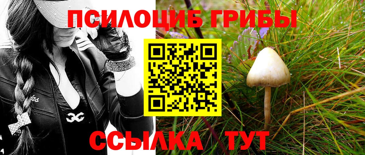 Кизляр  Псилоцибиновые грибы мухоморы  Вход с VPN 
